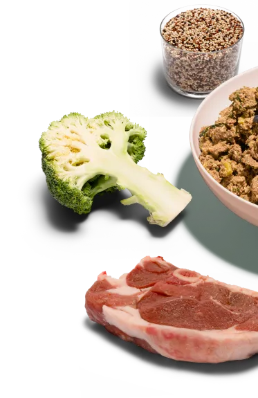 A photo of Lyka meal ingredients such as broccoli, beef and quinoa