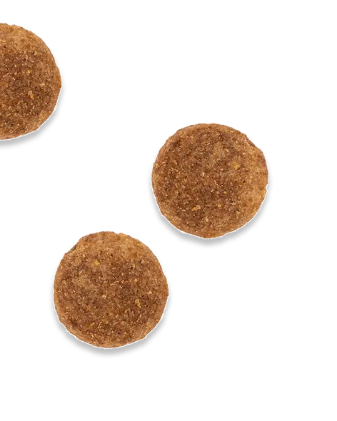 Some kibble biscuits